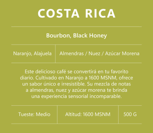 Costa Rica (Bourbon, Black Honey) - Image 2