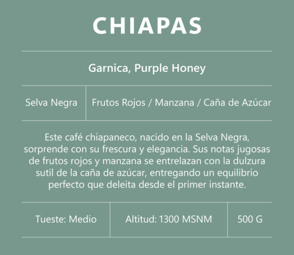 Chiapas (Garnica) - Image 2