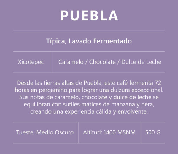 Café de Especialidad – Xicotepec, Puebla - Image 2